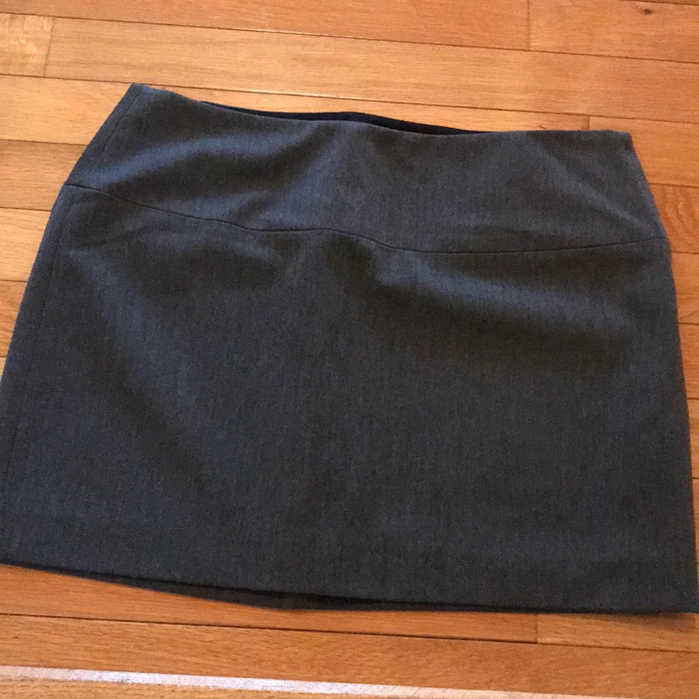 Express Mini Skirt (stretch)